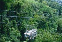 Sky Tram & Sky Walk Tour